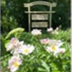 pleine_conscience_photo7